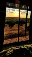 view from the sleeping room